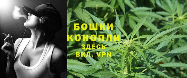 крисы Богородск