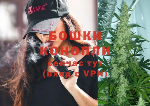 кокс Богородицк