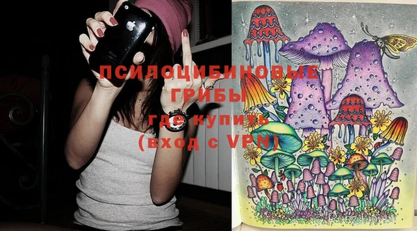 кокс Богородицк